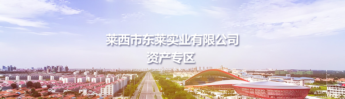 萊西市東萊實業(yè)有限公司資產(chǎn)專區(qū)
